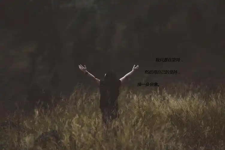 没有了 下一组 相关专题 伤感图片 相关标签 悲伤伤感伤心放弃 内容