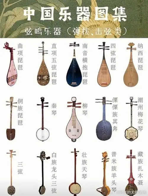 中国乐器图集