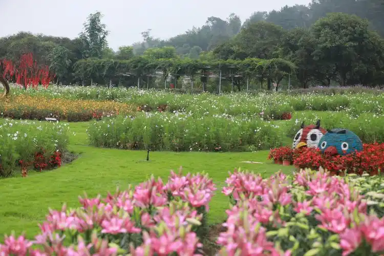 中国宜宾,蜀南花海
