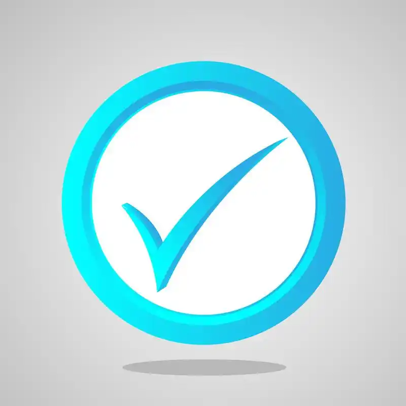 矢量检查图标,矢量检查图标