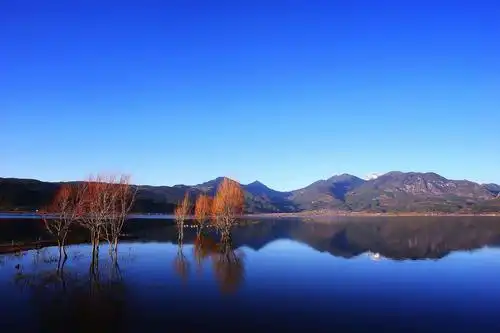 2019最新:抖音抖音点赞