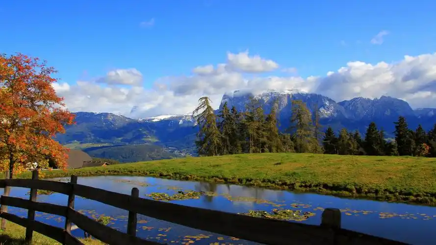 保存图片,或者设为壁纸 2,现在显示的是原图,为了适应手机屏幕,自动