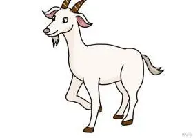 山羊儿童画怎么画 山羊简笔画画法