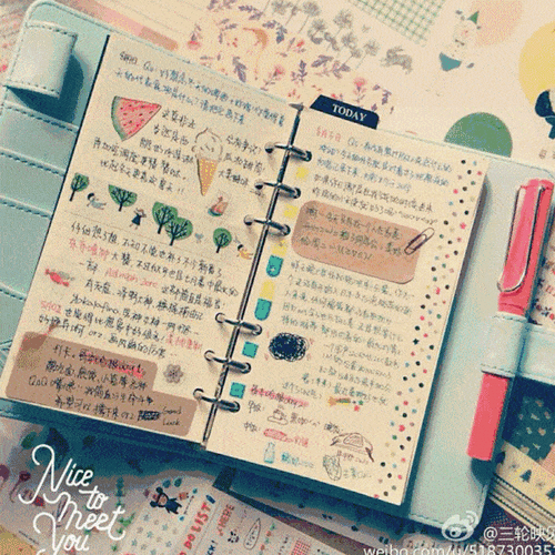 花2000元买个本子,手帐圈玩家是怎么想的?