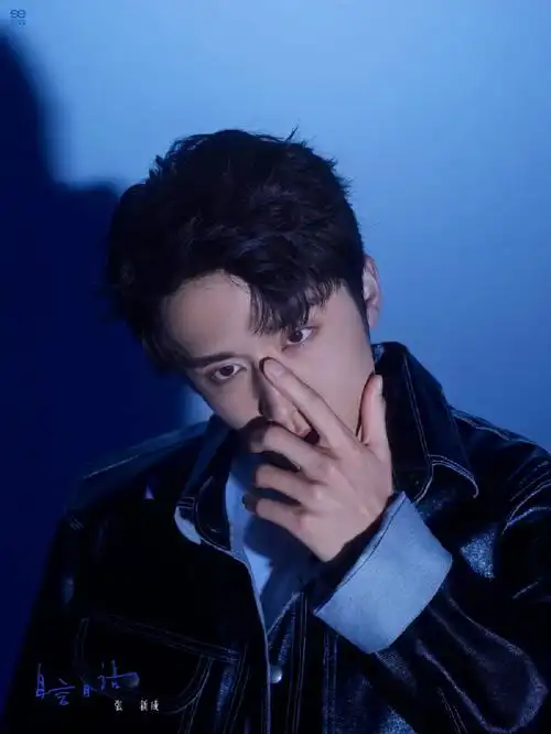 张新成绝美照片