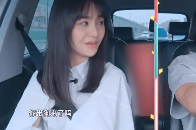 郑爽的迷之操作欲与张恒争夺孩子抚养权假母亲悔悟了