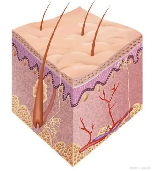 角质层太厚怎么办