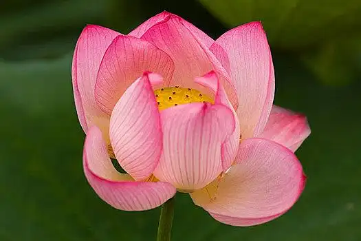 好图片_好图片大全_好电脑壁纸