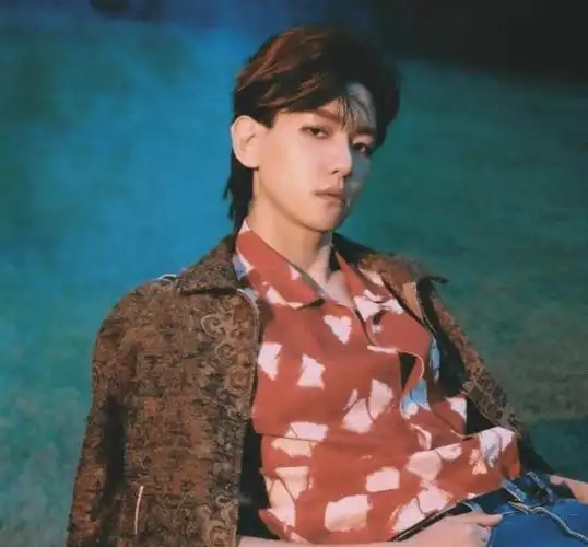 原创边伯贤新专狼尾造型梦回kokobop时期sm依旧不放弃皮裤