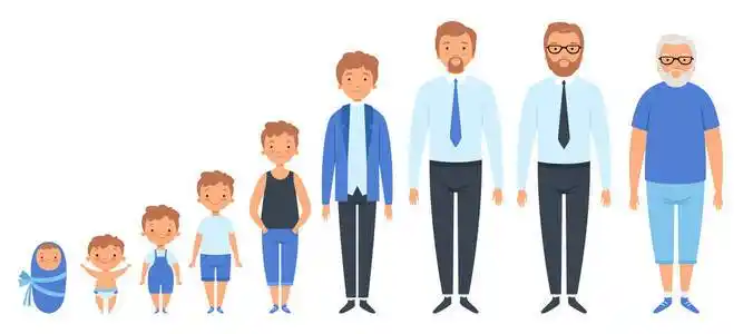 老人的年龄男性不同年龄.