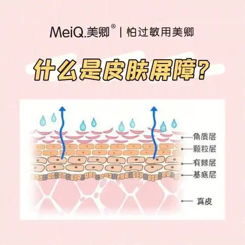 皮肤屏障修复攻略