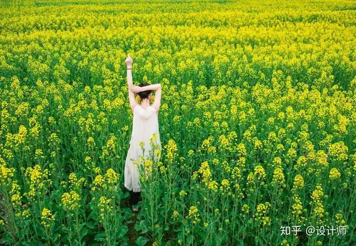 女生花海人像摄影姿势分享姿势都很简约不做作拍照花美人也美