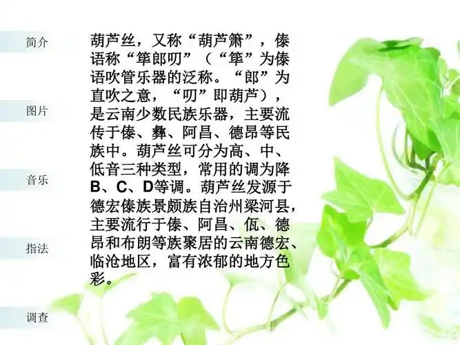 葫芦丝介绍-课件(ppt演示)