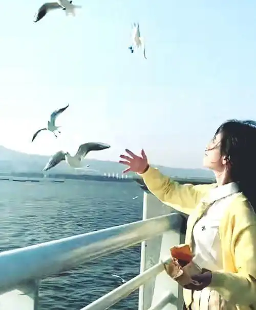 鞠婧祎喂海鸥被抓拍暴露真实五官看到鼻子我捏都捏不出来