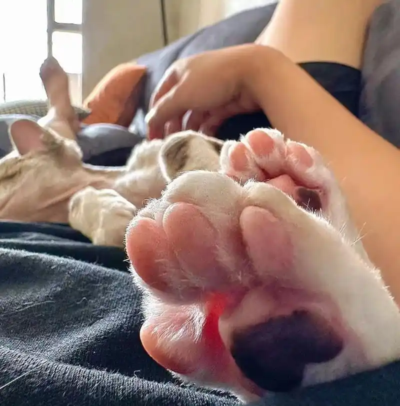 就想知道脚丫子臭吗