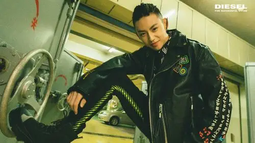 王琳凯_我爱桌面网提供