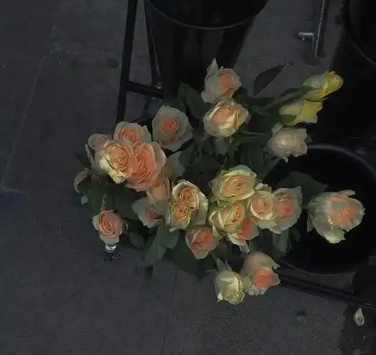 ins背景图简约,ins背景图三丽鸥,ins背景图治愈系,ins背景图高级感