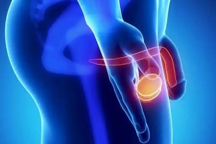 蛋蛋的忧伤男人睾丸有时候隐隐作痛是怎么回事