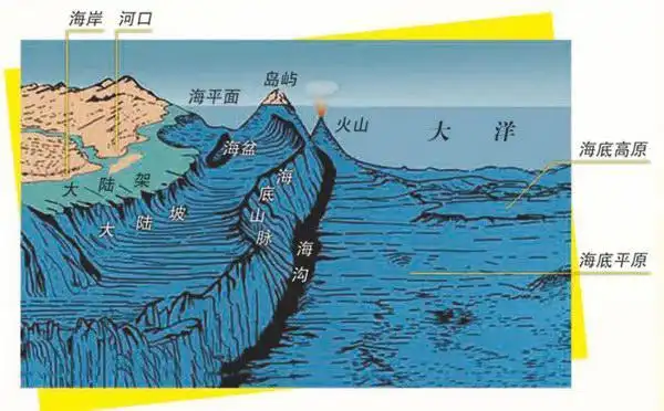 丘陵,高原,平原和盆地等不同的地形,那么在海底也有各种地形吗?