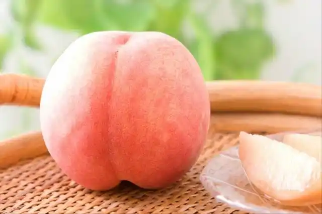 但可惜的是,在"核废水"事件下,福岛白桃已经不被市场所接纳了.