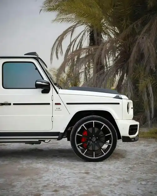 巴博斯 g700 07 #我与汽车的日常##汽车视觉