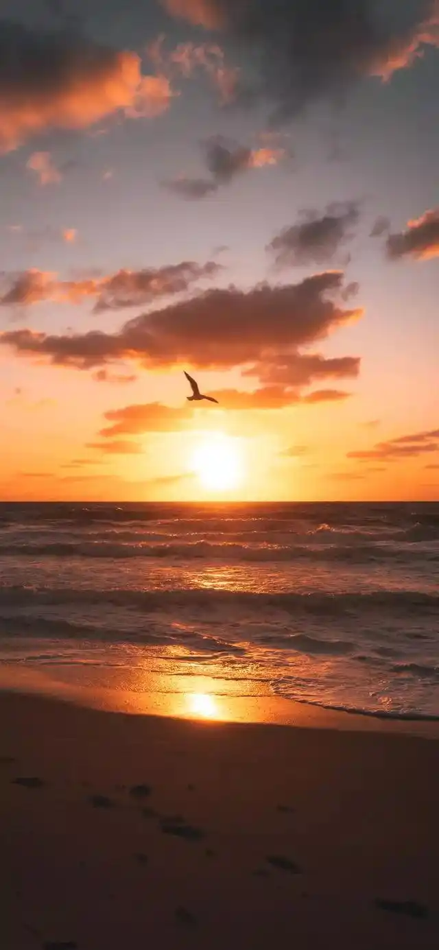 日出日落唯美自然风景高清手机壁纸