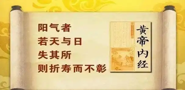 阳气世界上最好的医生抓住养阳好时节健康整年