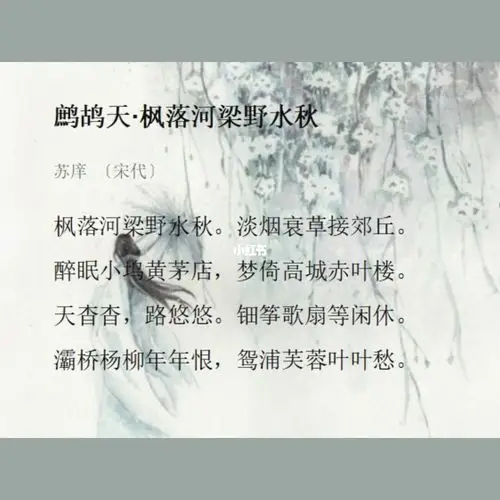 绝美诗词赏析|95鹧鸪天61枫落河梁野秋水