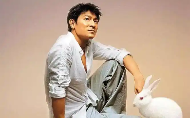 刘德华个人资料刘德华中国香港男演员