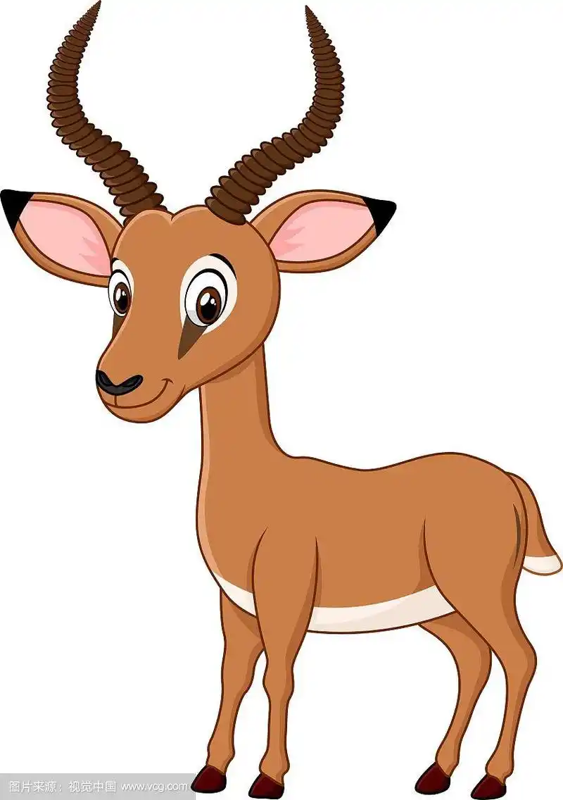 卡通有趣的黑斑羚孤立的白色背景