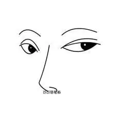 人脸五官伦廓简笔画