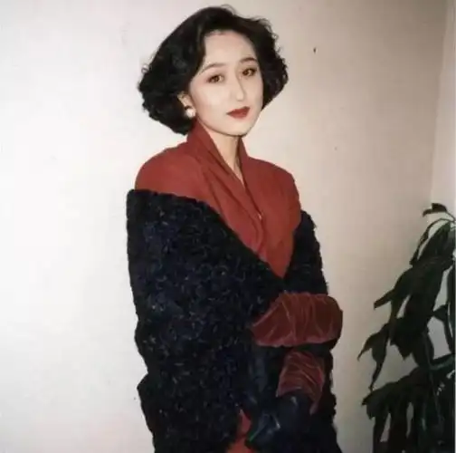 利智年轻时林凤娇年轻时朱丽倩年轻时恐怕还是没她美