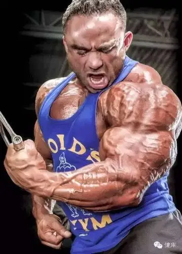 硕大的胸肌是怎么练出来的