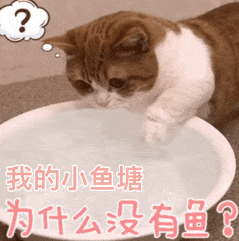 近期热门表情包又狗又沙雕