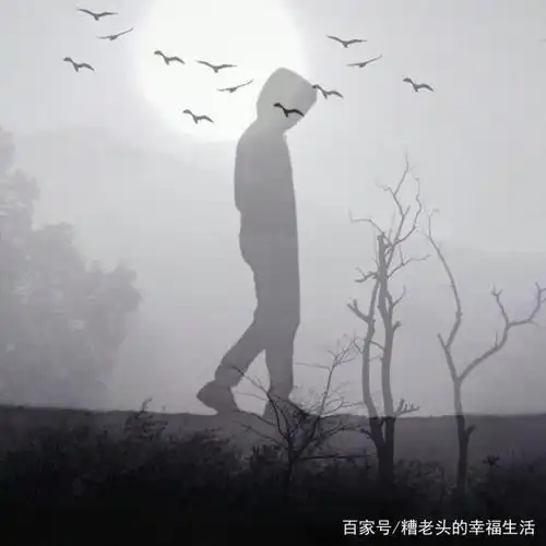 孤独是沉默的陪伴者,沉默是孤独的来生,两者不是说明我们懦弱了,而是