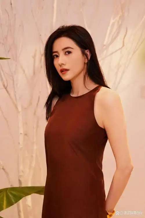 揭秘高圆圆时尚秘籍:简约穿搭,高级魅力!