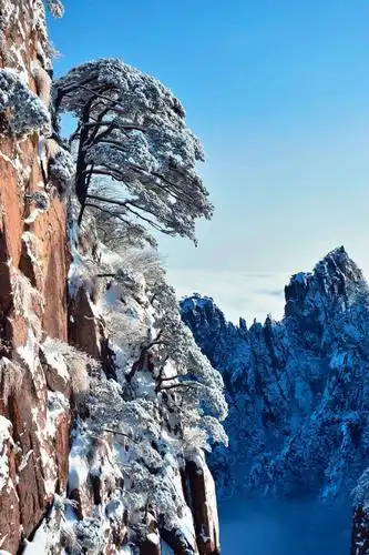 1536_2306竖版 竖屏