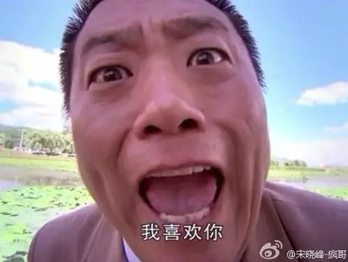 保安队长宋晓峰的相册保安队的故事