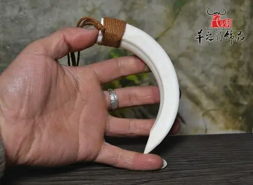 精品野猪牙挂件 民族风饰品 个性吊坠 狂野时尚 辟邪保平安 批发