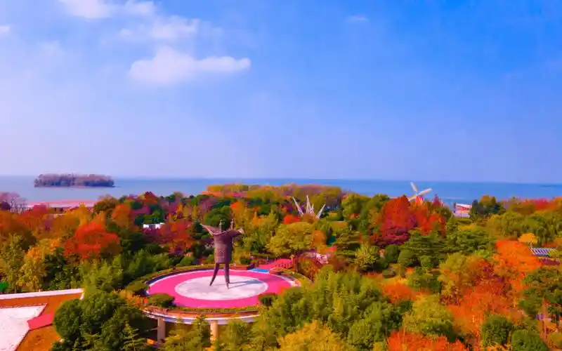 初冬时节,来宿迁骆马湖国家级旅游度假区赏芦花飞雪入梦!