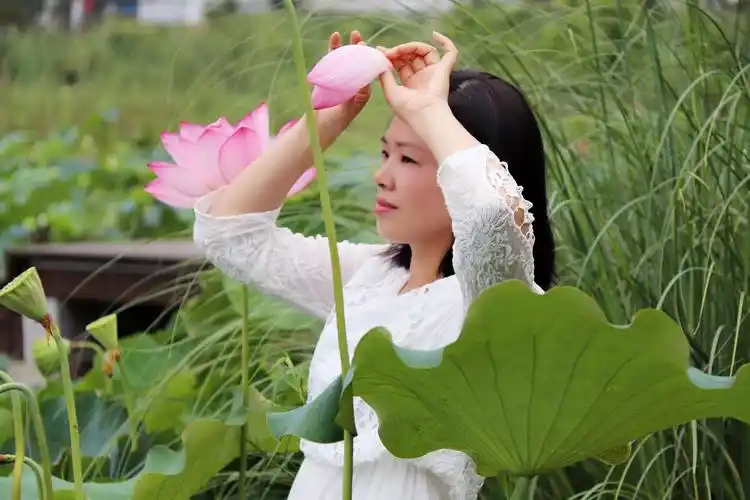 心如莲花,一路芬芳