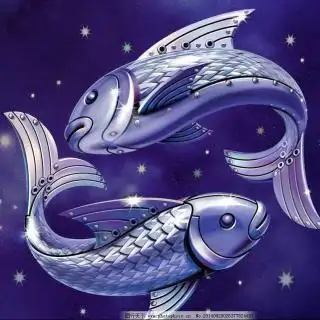 双鱼座可以有几假