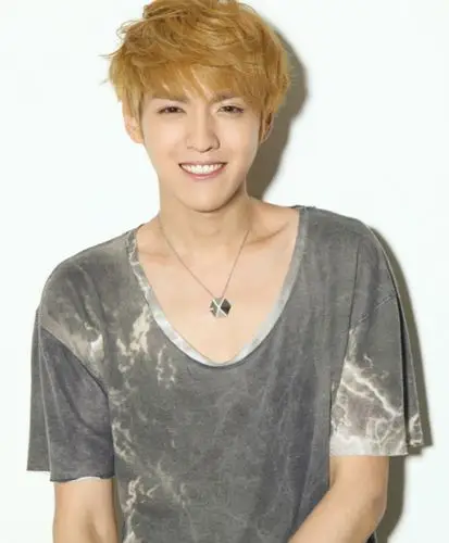 exo吴亦凡23岁生日 粉丝以公益形式为偶像庆生 - 娱乐八卦 - 猎房家园