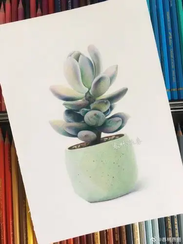 彩铅绿植系列～@匠bot