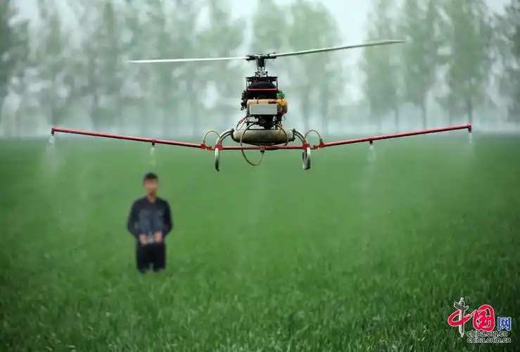 安徽亳州遥控无人直升机喷洒农药组图