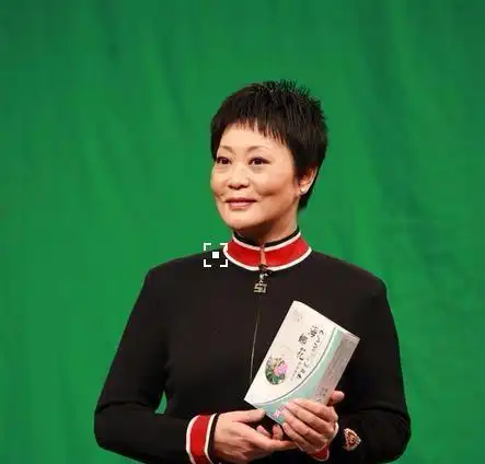 杨蕾,女,1963年出生于陕西省西安市,著名演员.