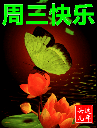 思念着你的美篇