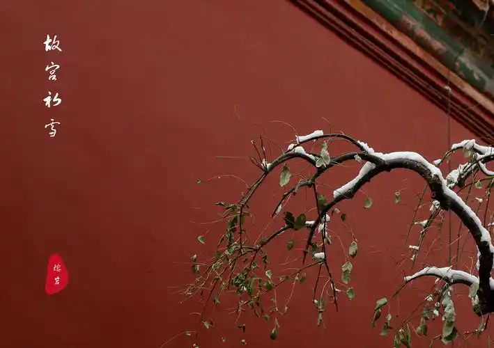 故宫初雪