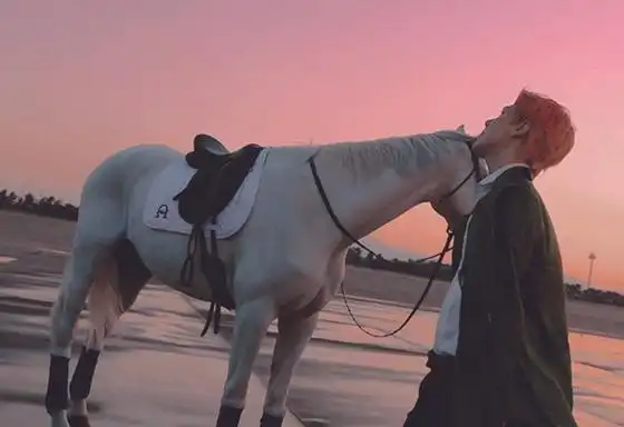 吴世勋骑白马亮相新歌mv 化身王子贵气十足【组图】【4】