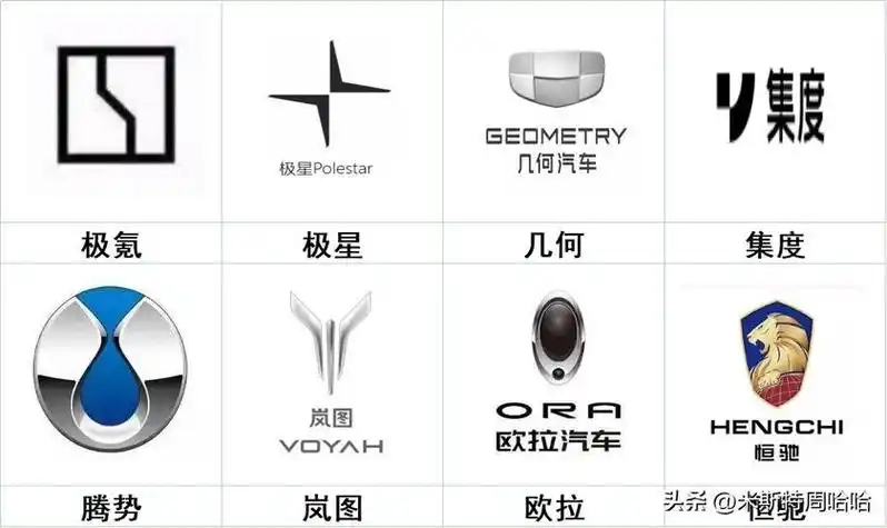 新能源汽车-重庆汤美费格商贸有限公司